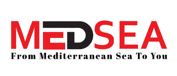 medsea-logo